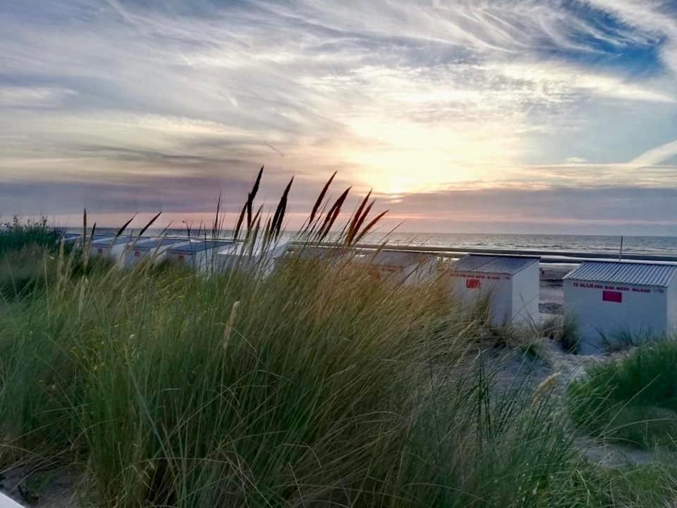 Seayousoon Nieuwpoort-Bad Exteriör bild